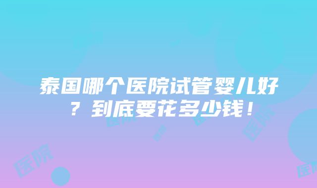 泰国哪个医院试管婴儿好？到底要花多少钱！