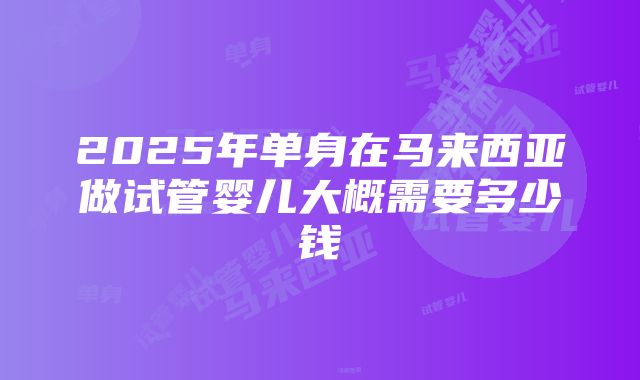 2025年单身在马来西亚做试管婴儿大概需要多少钱