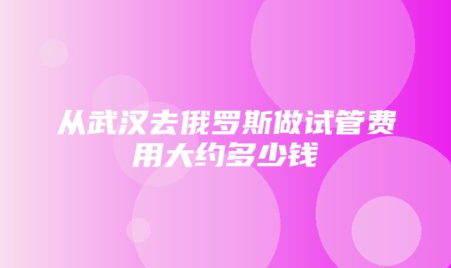 从武汉去俄罗斯做试管费用大约多少钱