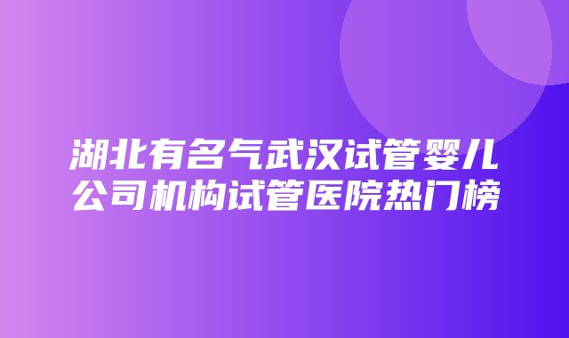 湖北有名气武汉试管婴儿公司机构试管医院热门榜