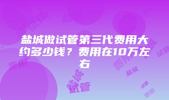 盐城做试管第三代费用大约多少钱？费用在10万左右