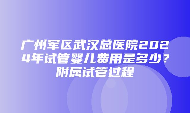 广州军区武汉总医院2024年试管婴儿费用是多少？附属试管过程