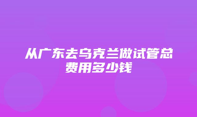 从广东去乌克兰做试管总费用多少钱