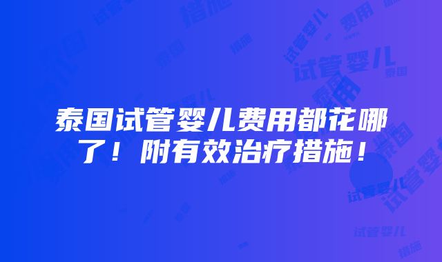 泰国试管婴儿费用都花哪了！附有效治疗措施！