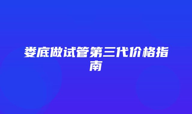 娄底做试管第三代价格指南