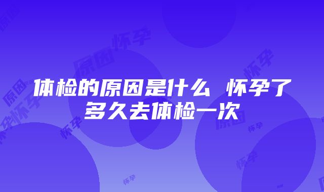 体检的原因是什么 怀孕了多久去体检一次