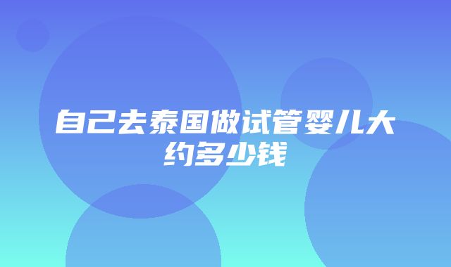 自己去泰国做试管婴儿大约多少钱