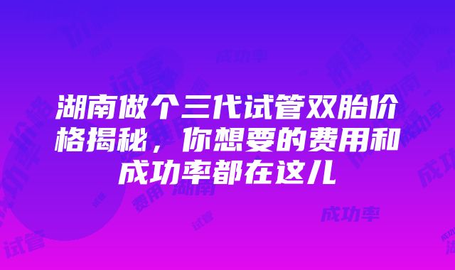 湖南做个三代试管双胎价格揭秘，你想要的费用和成功率都在这儿