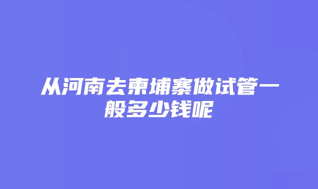 从河南去柬埔寨做试管一般多少钱呢