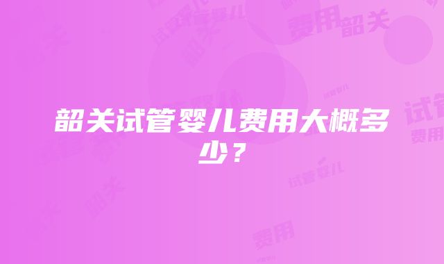 韶关试管婴儿费用大概多少？