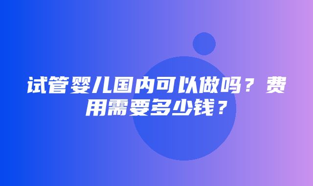 试管婴儿国内可以做吗？费用需要多少钱？