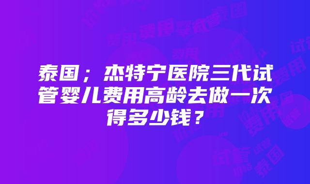 泰国；杰特宁医院三代试管婴儿费用高龄去做一次得多少钱？