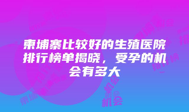 柬埔寨比较好的生殖医院排行榜单揭晓，受孕的机会有多大