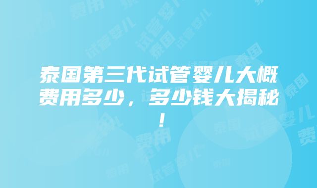 泰国第三代试管婴儿大概费用多少，多少钱大揭秘！