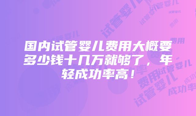 国内试管婴儿费用大概要多少钱十几万就够了，年轻成功率高！