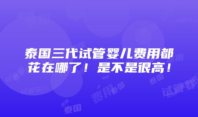 泰国三代试管婴儿费用都花在哪了！是不是很高！