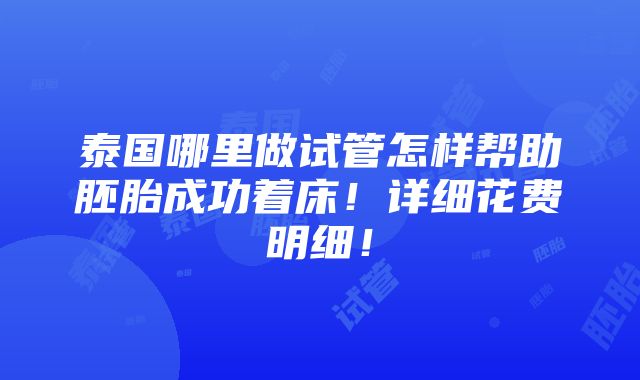 泰国哪里做试管怎样帮助胚胎成功着床！详细花费明细！