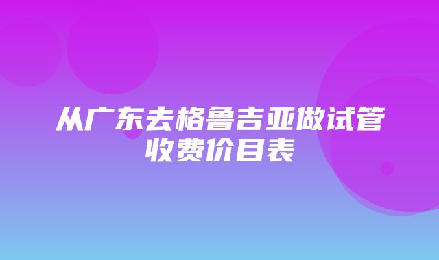 从广东去格鲁吉亚做试管收费价目表