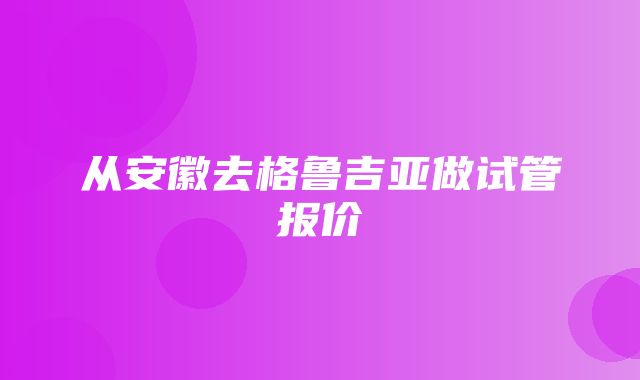 从安徽去格鲁吉亚做试管报价