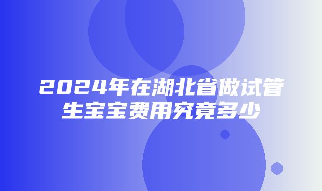 2024年在湖北省做试管生宝宝费用究竟多少