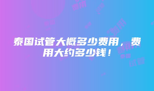 泰国试管大概多少费用，费用大约多少钱！