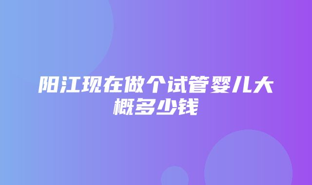 阳江现在做个试管婴儿大概多少钱