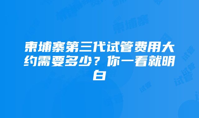 柬埔寨第三代试管费用大约需要多少？你一看就明白