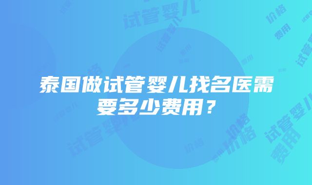 泰国做试管婴儿找名医需要多少费用？