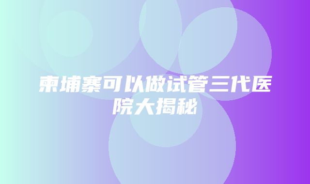 柬埔寨可以做试管三代医院大揭秘