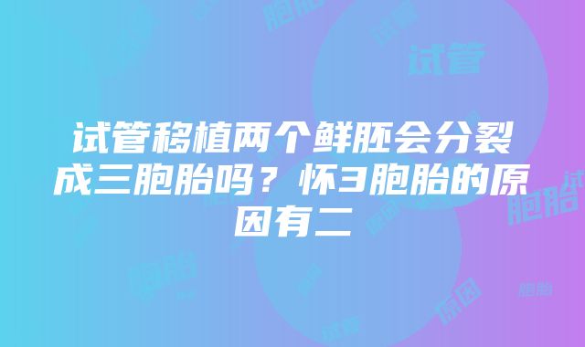 试管移植两个鲜胚会分裂成三胞胎吗？怀3胞胎的原因有二