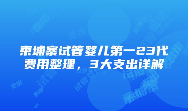 柬埔寨试管婴儿第一23代费用整理，3大支出详解