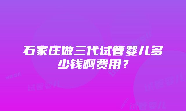 石家庄做三代试管婴儿多少钱啊费用？