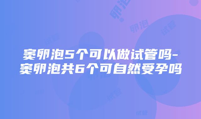 窦卵泡5个可以做试管吗-窦卵泡共6个可自然受孕吗