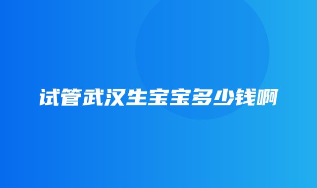 试管武汉生宝宝多少钱啊