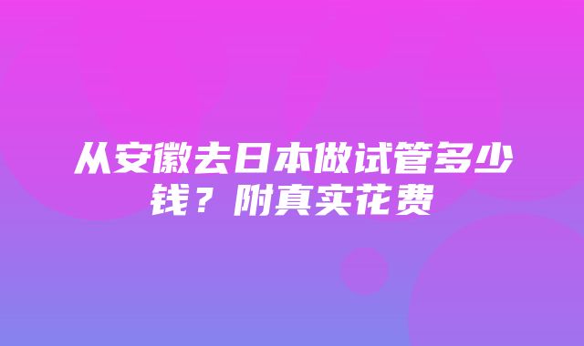 从安徽去日本做试管多少钱？附真实花费