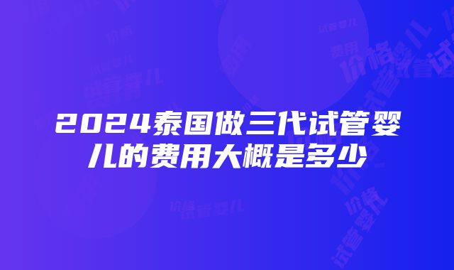 2024泰国做三代试管婴儿的费用大概是多少