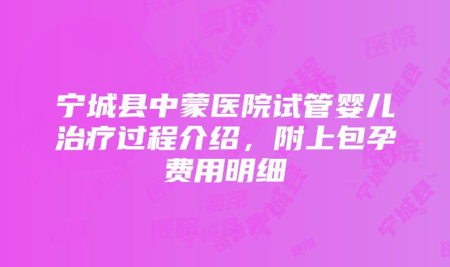 宁城县中蒙医院试管婴儿治疗过程介绍，附上包孕费用明细