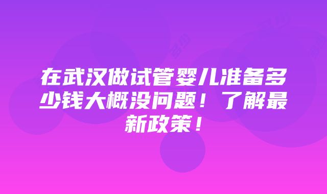 在武汉做试管婴儿准备多少钱大概没问题！了解最新政策！