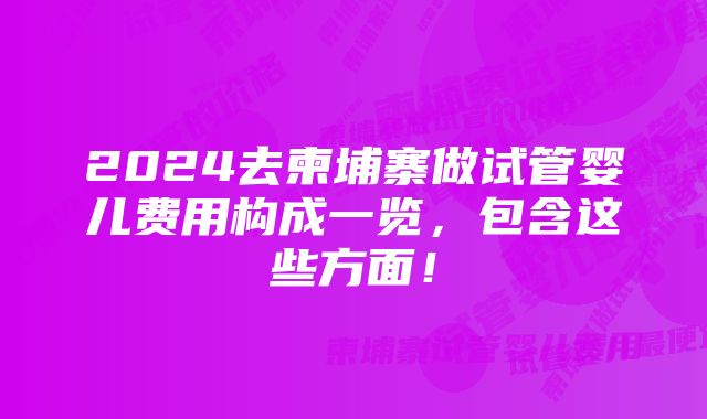 2024去柬埔寨做试管婴儿费用构成一览，包含这些方面！