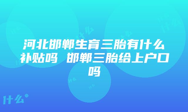 河北邯郸生育三胎有什么补贴吗 邯郸三胎给上户口吗