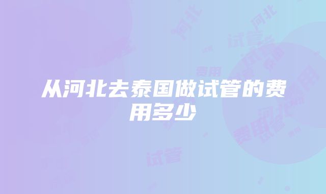 从河北去泰国做试管的费用多少