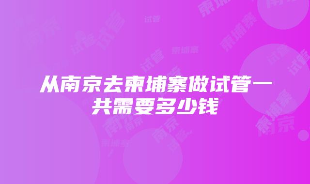 从南京去柬埔寨做试管一共需要多少钱