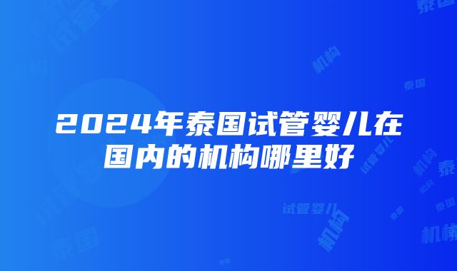 2024年泰国试管婴儿在国内的机构哪里好