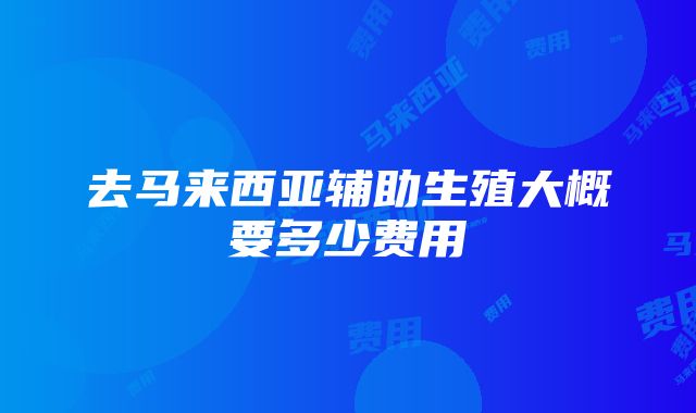 去马来西亚辅助生殖大概要多少费用