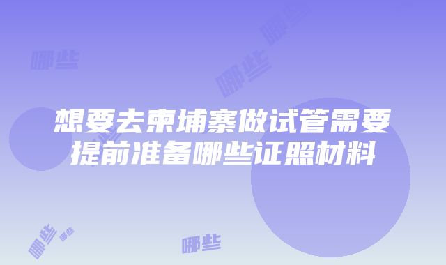 想要去柬埔寨做试管需要提前准备哪些证照材料