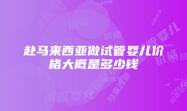 赴马来西亚做试管婴儿价格大概是多少钱