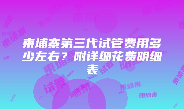 柬埔寨第三代试管费用多少左右？附详细花费明细表