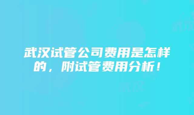 武汉试管公司费用是怎样的，附试管费用分析！