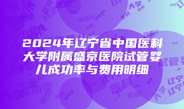 2024年辽宁省中国医科大学附属盛京医院试管婴儿成功率与费用明细