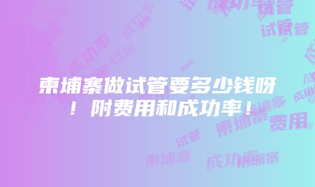 柬埔寨做试管要多少钱呀！附费用和成功率！